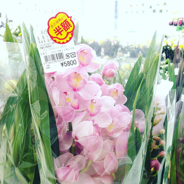 今日ラストチャンス！既に買った人は倍に花を飾る大チャンス売り切れ前にどうぞ！安いのは、1000円から