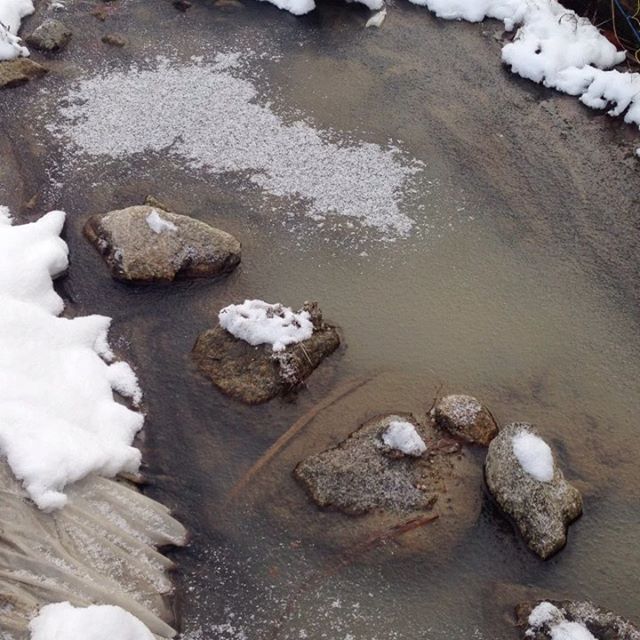 ため池もガチガチに氷ってます！